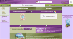 Desktop Screenshot of chikungminceur.com